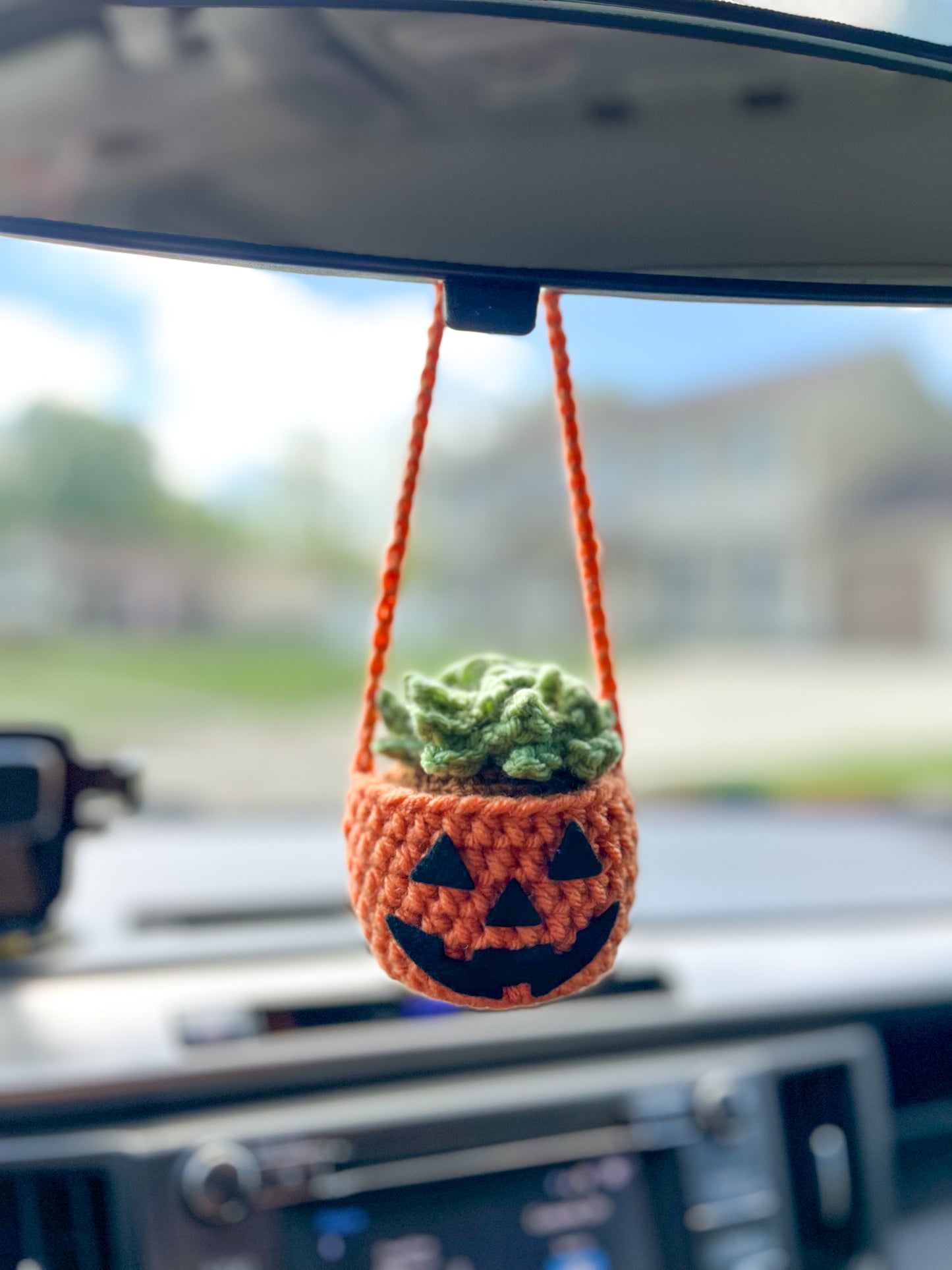 Halloween Hanging Plants *MADE TO ORDER