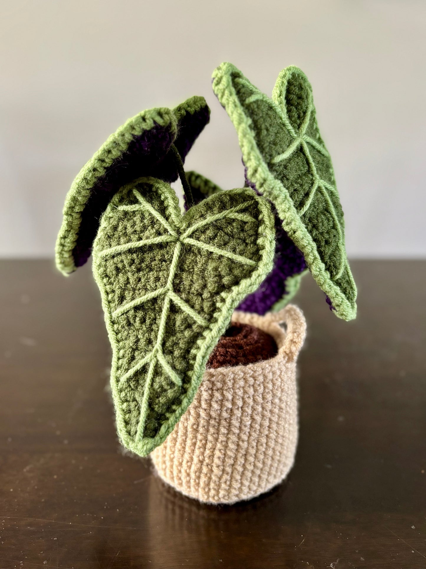 Alocasia Plant Crochet Pattern