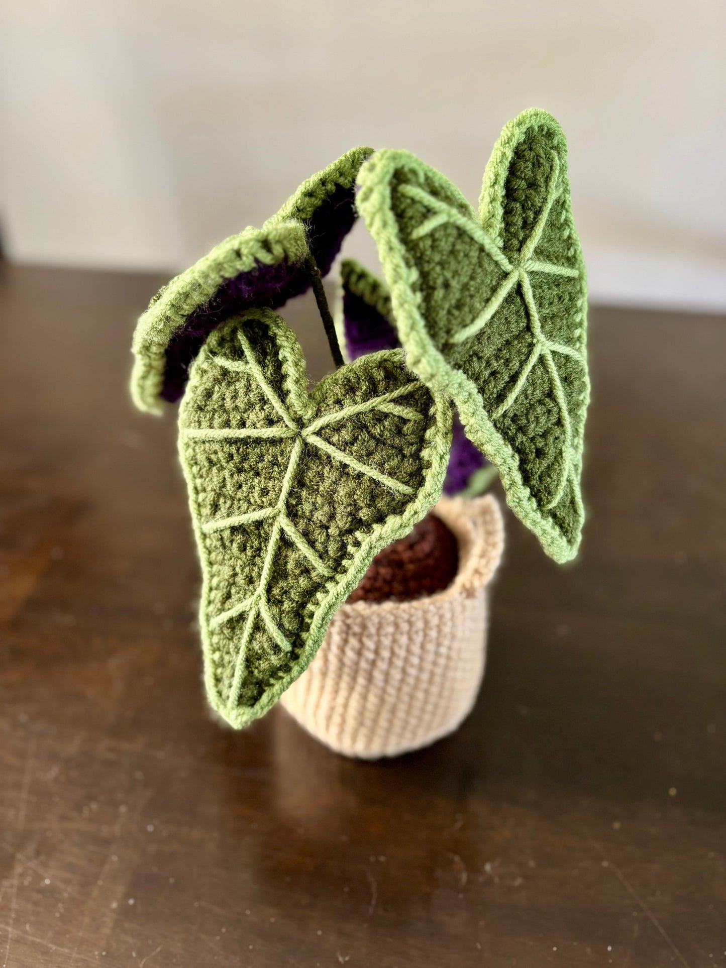 Alocasia Plant Crochet Pattern