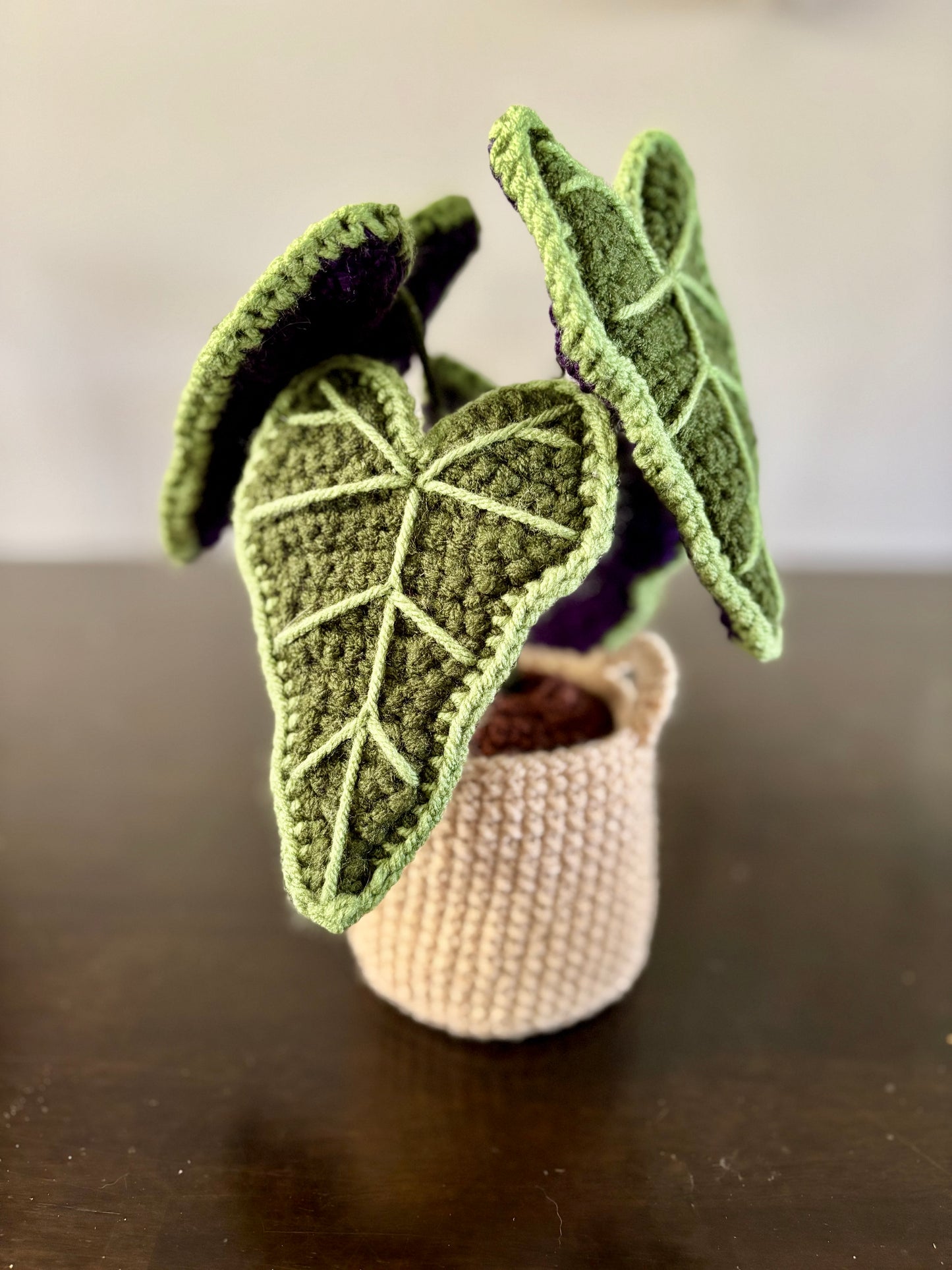 Alocasia Plant Crochet Pattern
