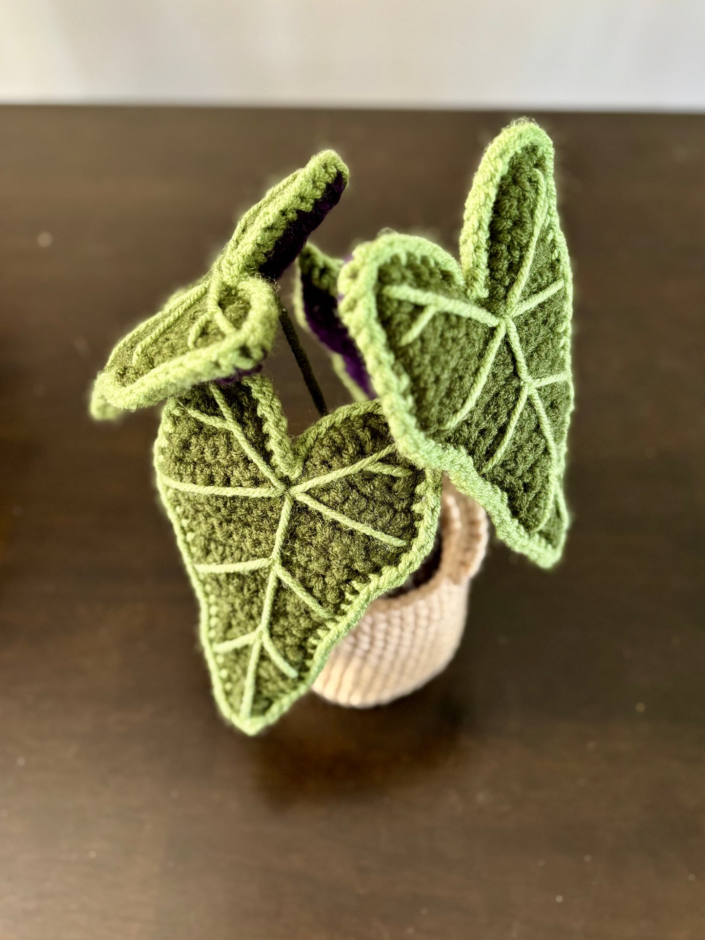 Alocasia Plant Crochet Pattern