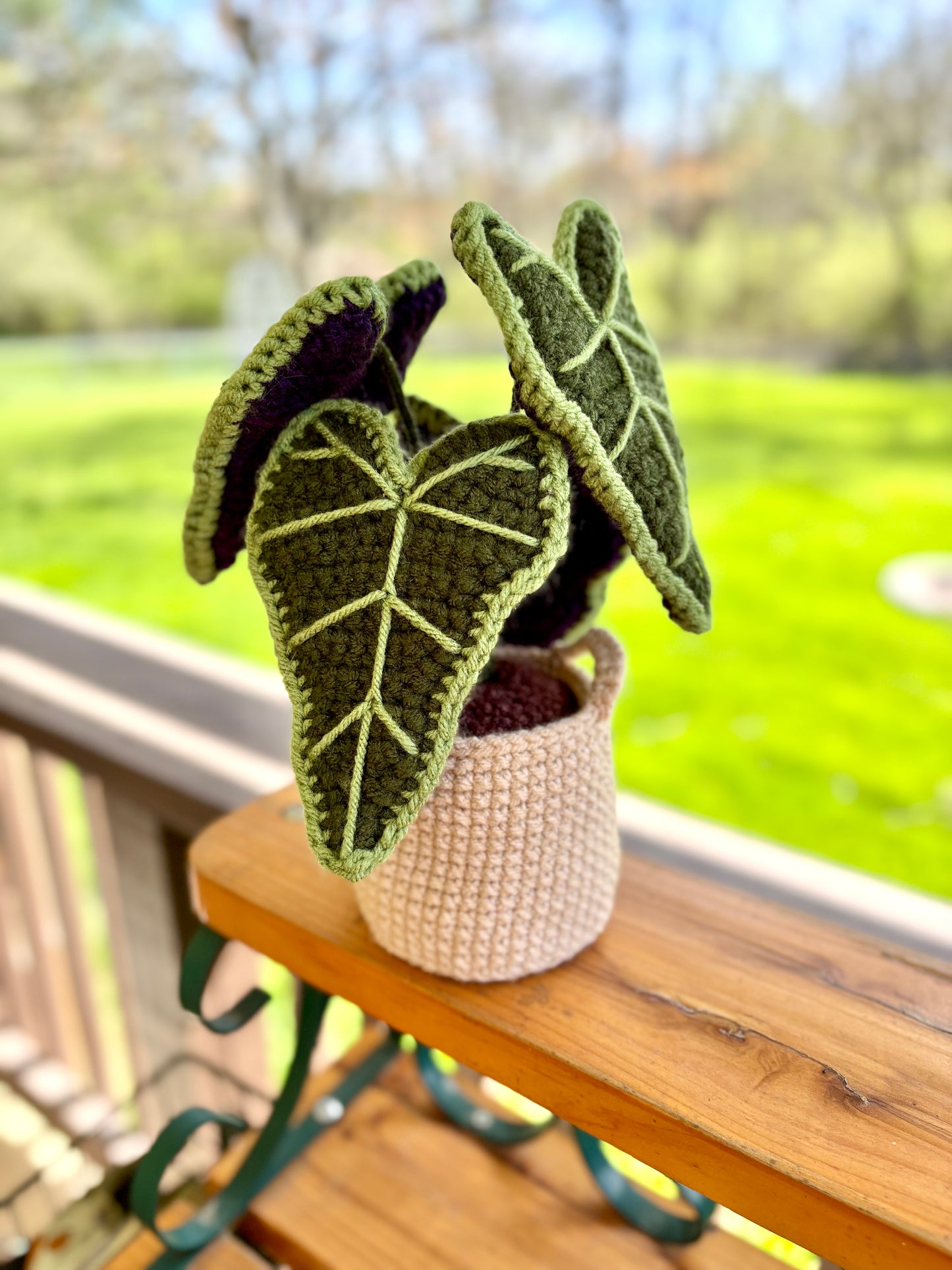 Alocasia Plant Crochet Pattern