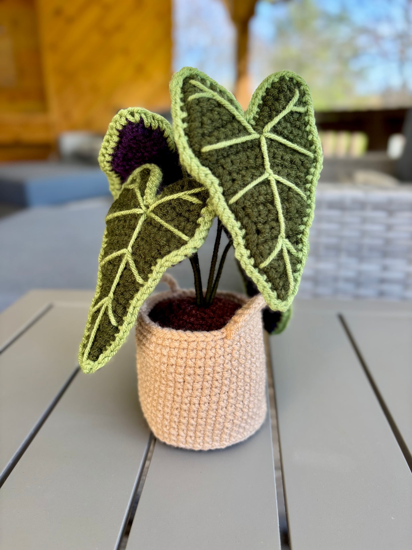 Alocasia Plant Crochet Pattern