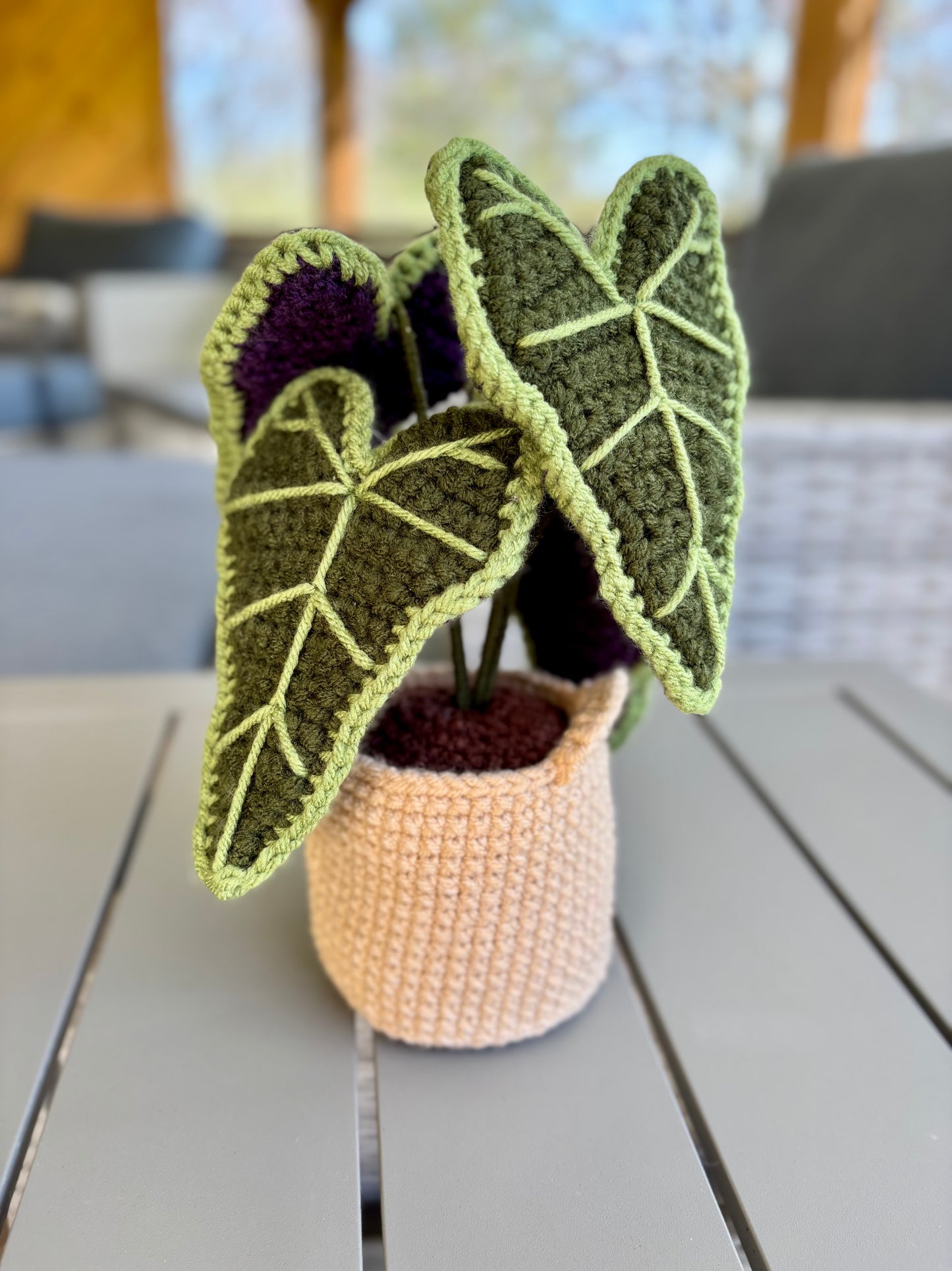 Alocasia Plant Crochet Pattern