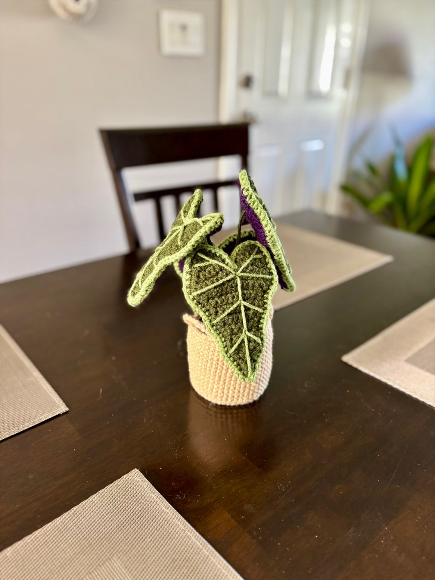 Alocasia Plant Crochet Pattern