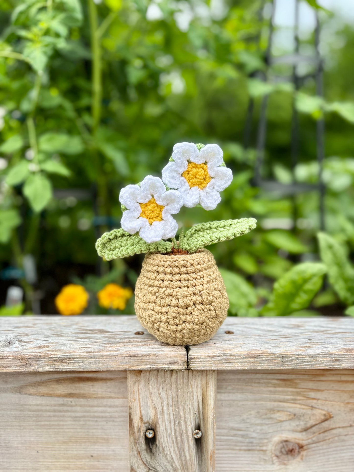 Summer Flowers Collection Crochet Pattern