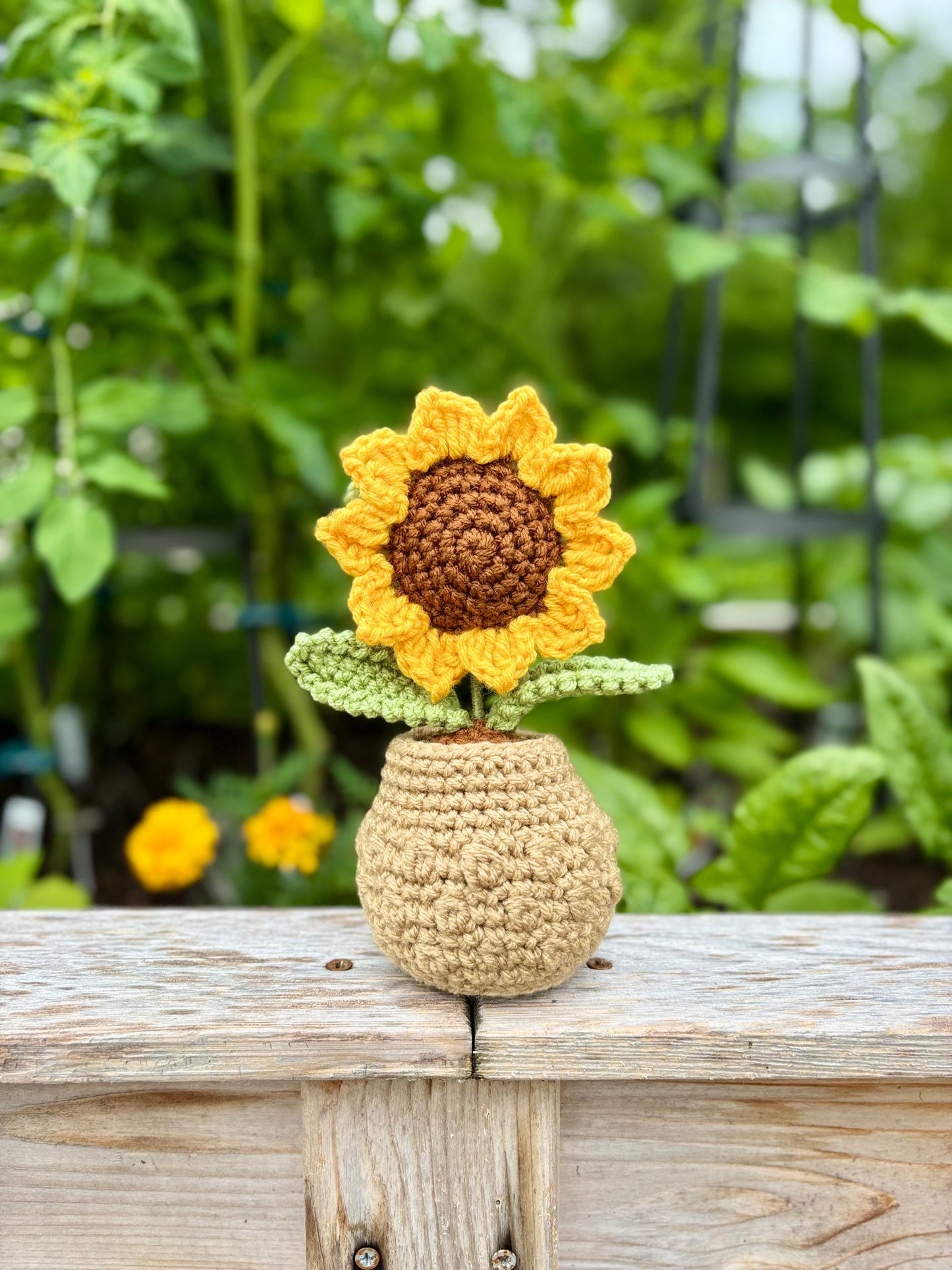Summer Flowers Collection Crochet Pattern