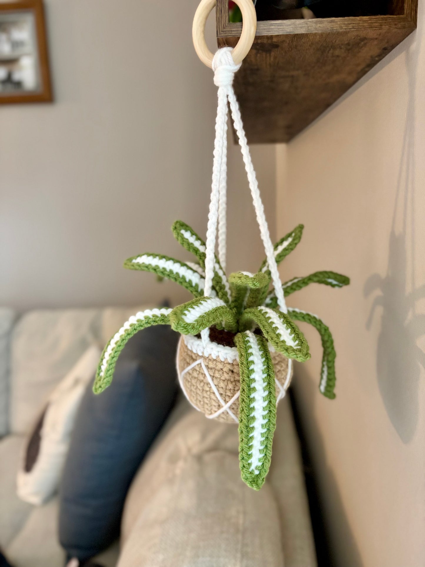 Hanging Plant Collection Crochet Pattern Bundle