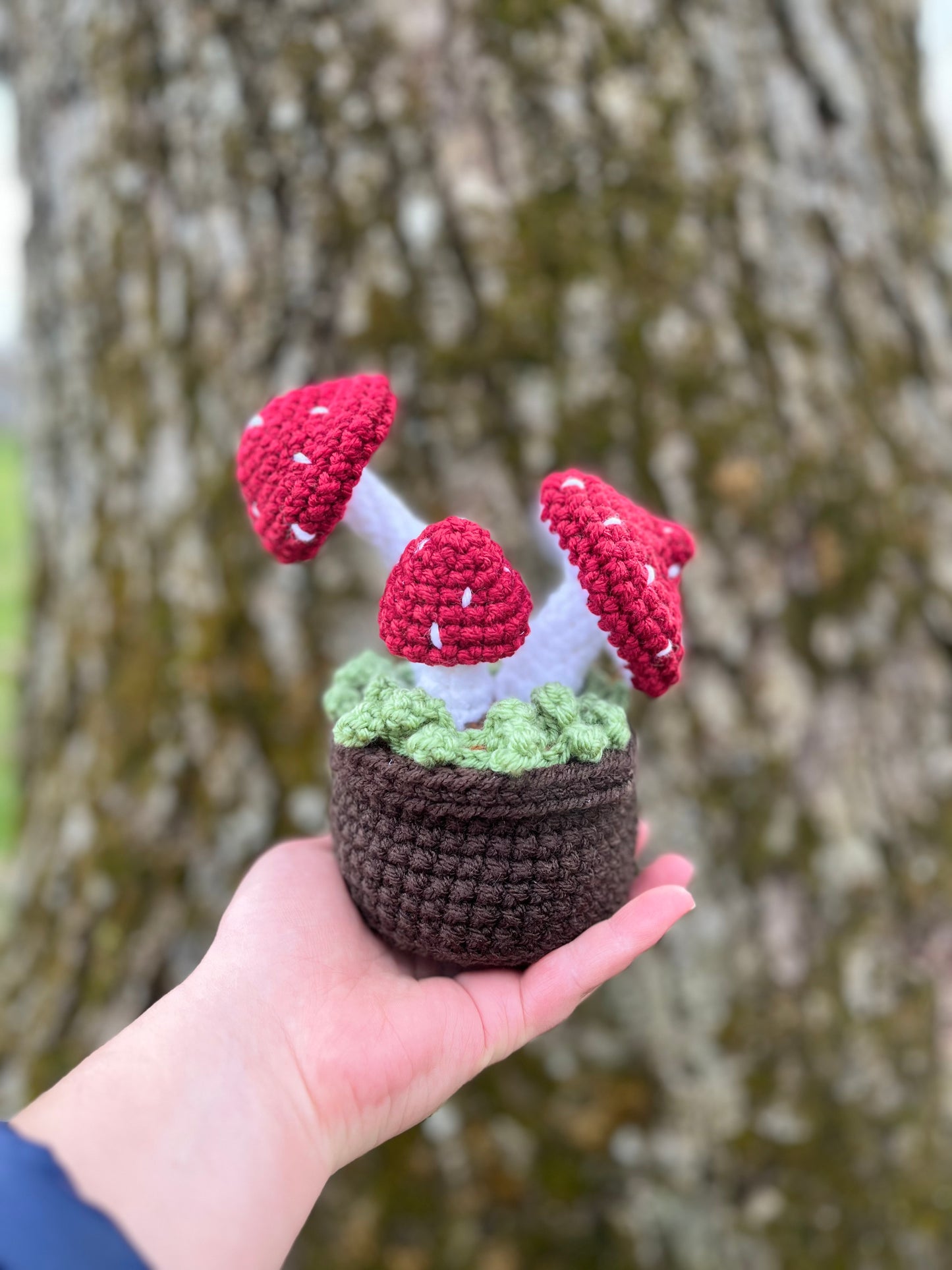 Potted Mossy Mushrooms *MADE TO ORDER