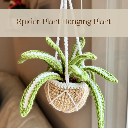 Hanging Spider Plant: A Sneak Peek!