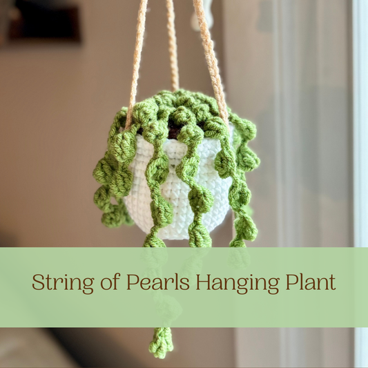String of Pearls Hanging Plant: A Sneak Peek!