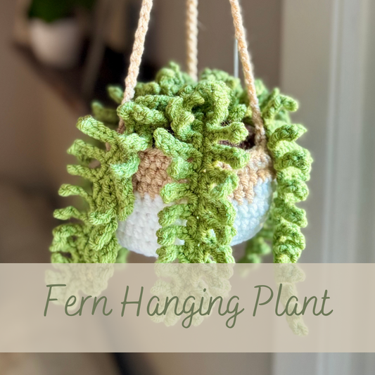 Hanging Fern Plant: A Sneak Peek!