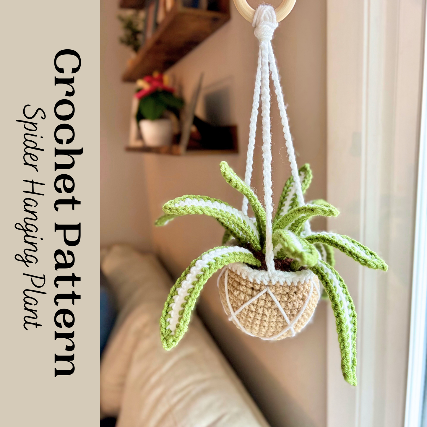 Spider Hanging Plant Crochet Pattern