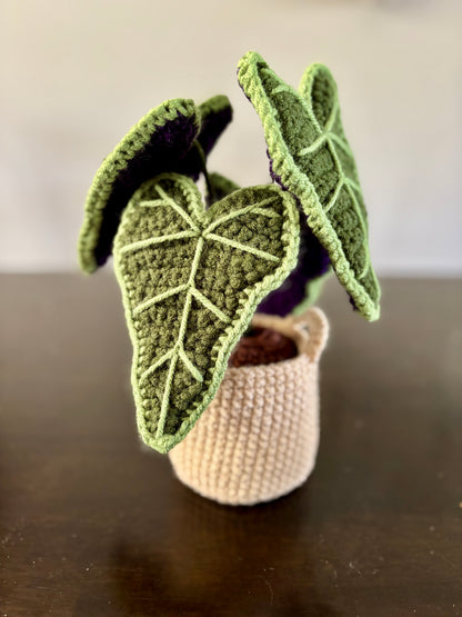 Alocasia Plant Crochet Pattern
