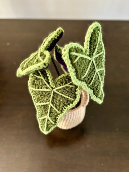 Alocasia Plant Crochet Pattern