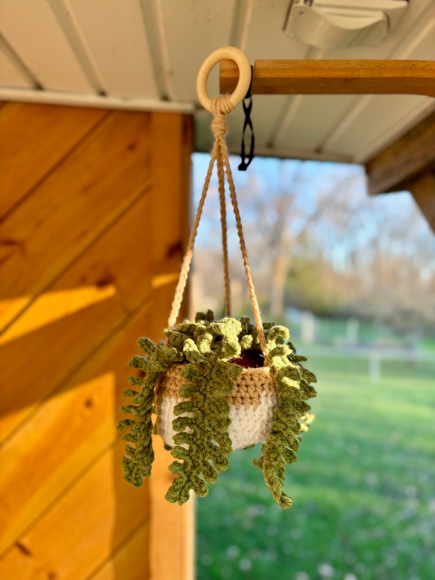Fern Hanging Plant Crochet Pattern