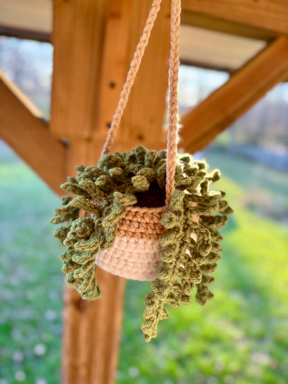 Fern Hanging Plant Crochet Pattern