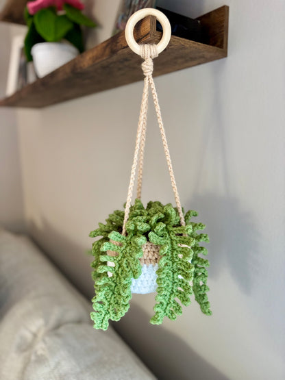 Fern Hanging Plant Crochet Pattern