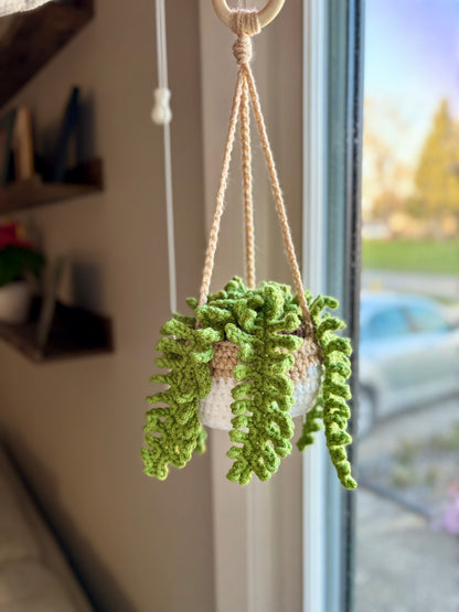 Fern Hanging Plant Crochet Pattern