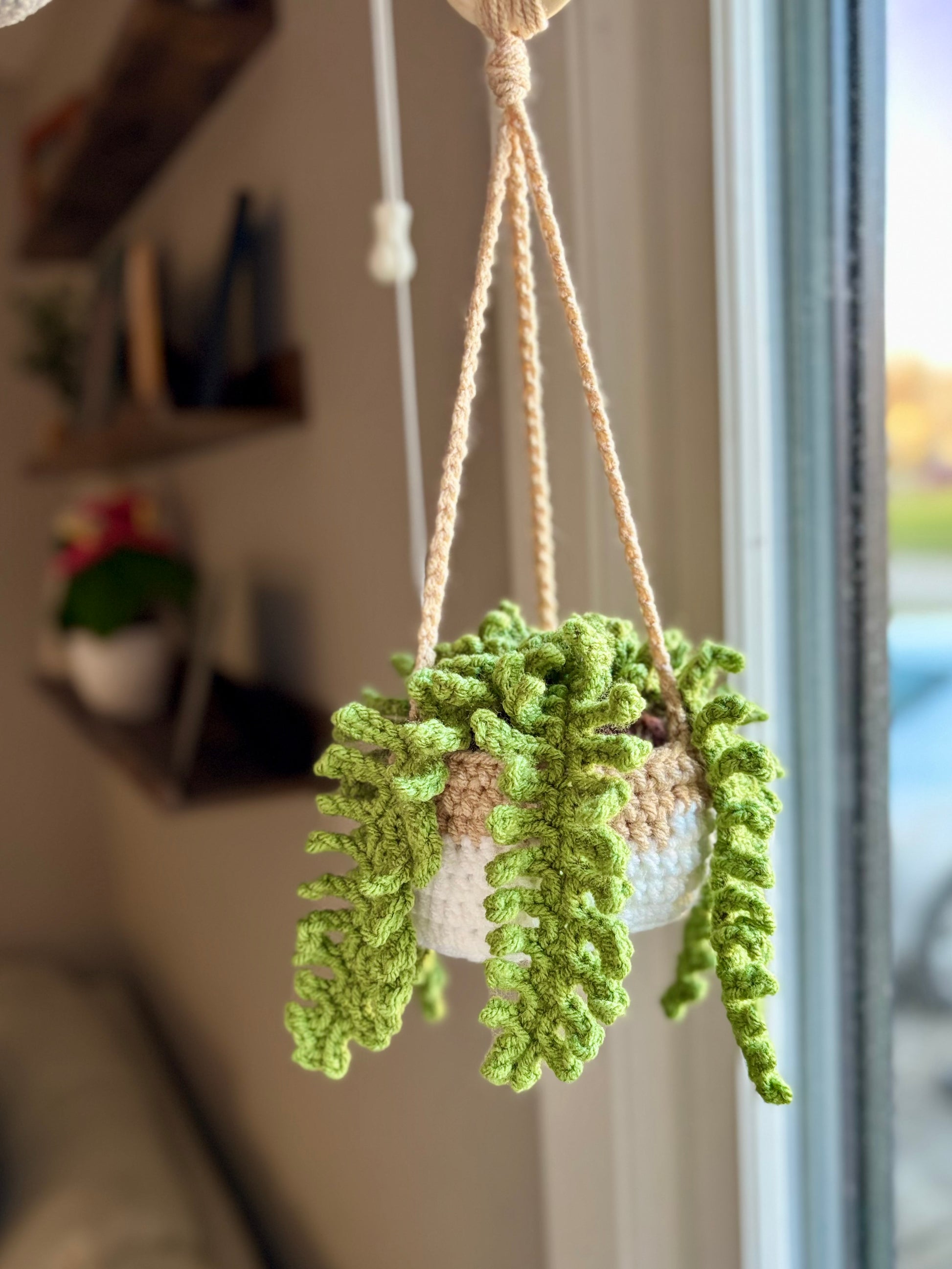 corner hanging plant Fern Hanging Plant Crochet Pattern – Squibble's Crochet Corner