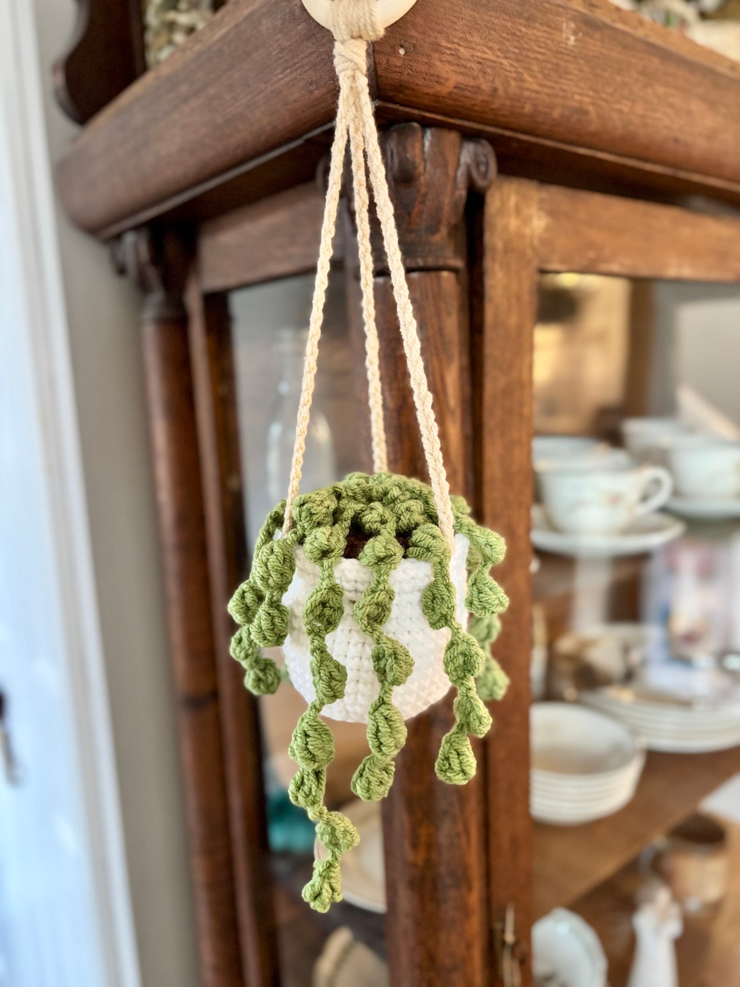 String of Pearls Hanging Plant Crochet Pattern