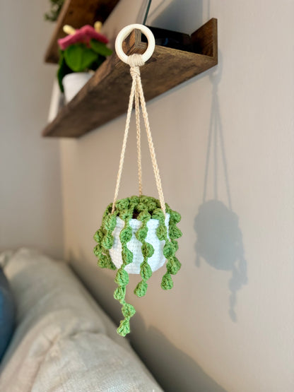 String of Pearls Hanging Plant Crochet Pattern