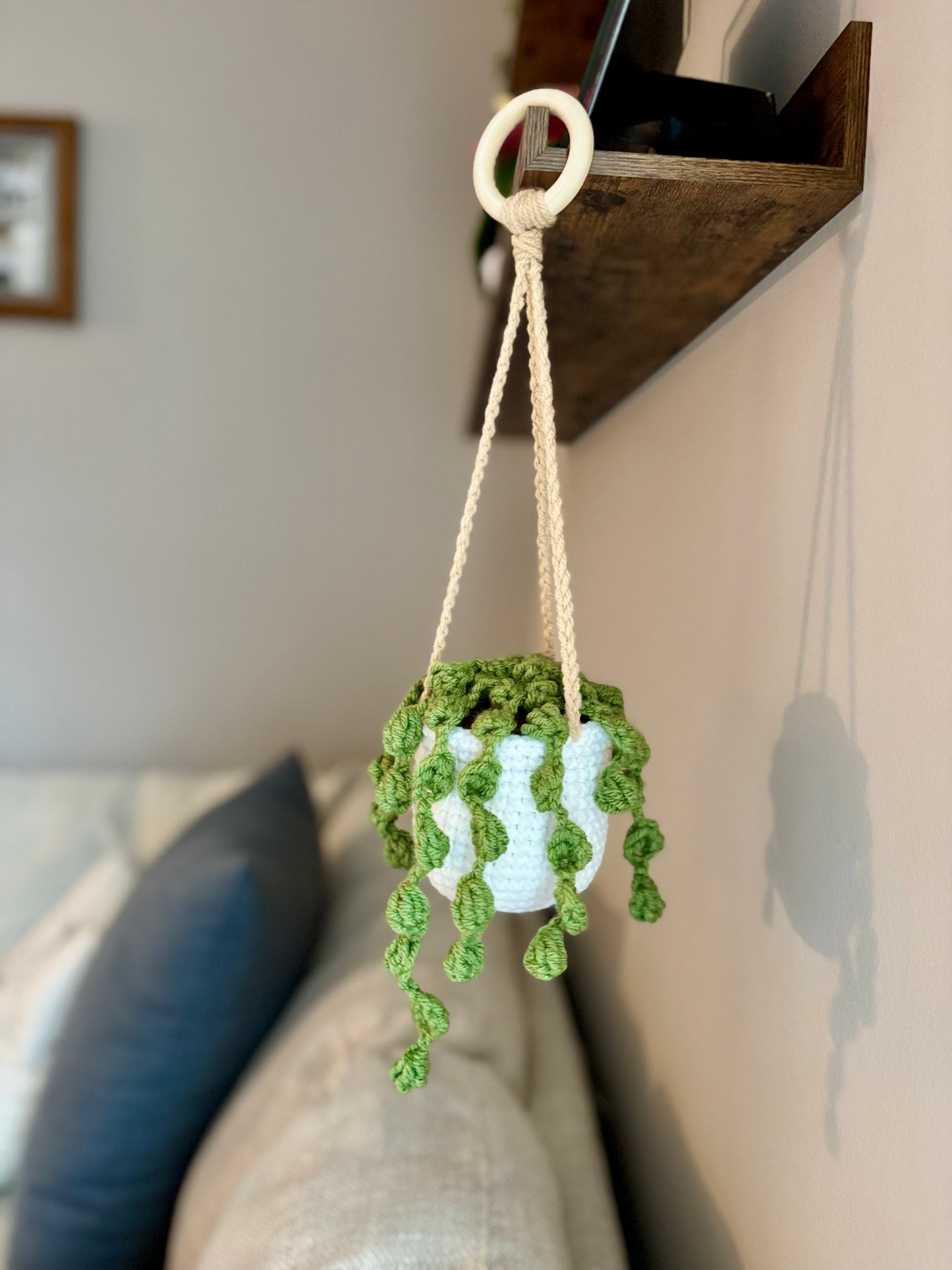 String of Pearls Hanging Plant Crochet Pattern
