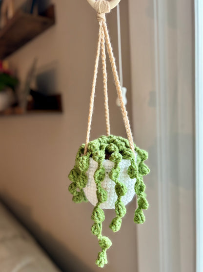 String of Pearls Hanging Plant Crochet Pattern