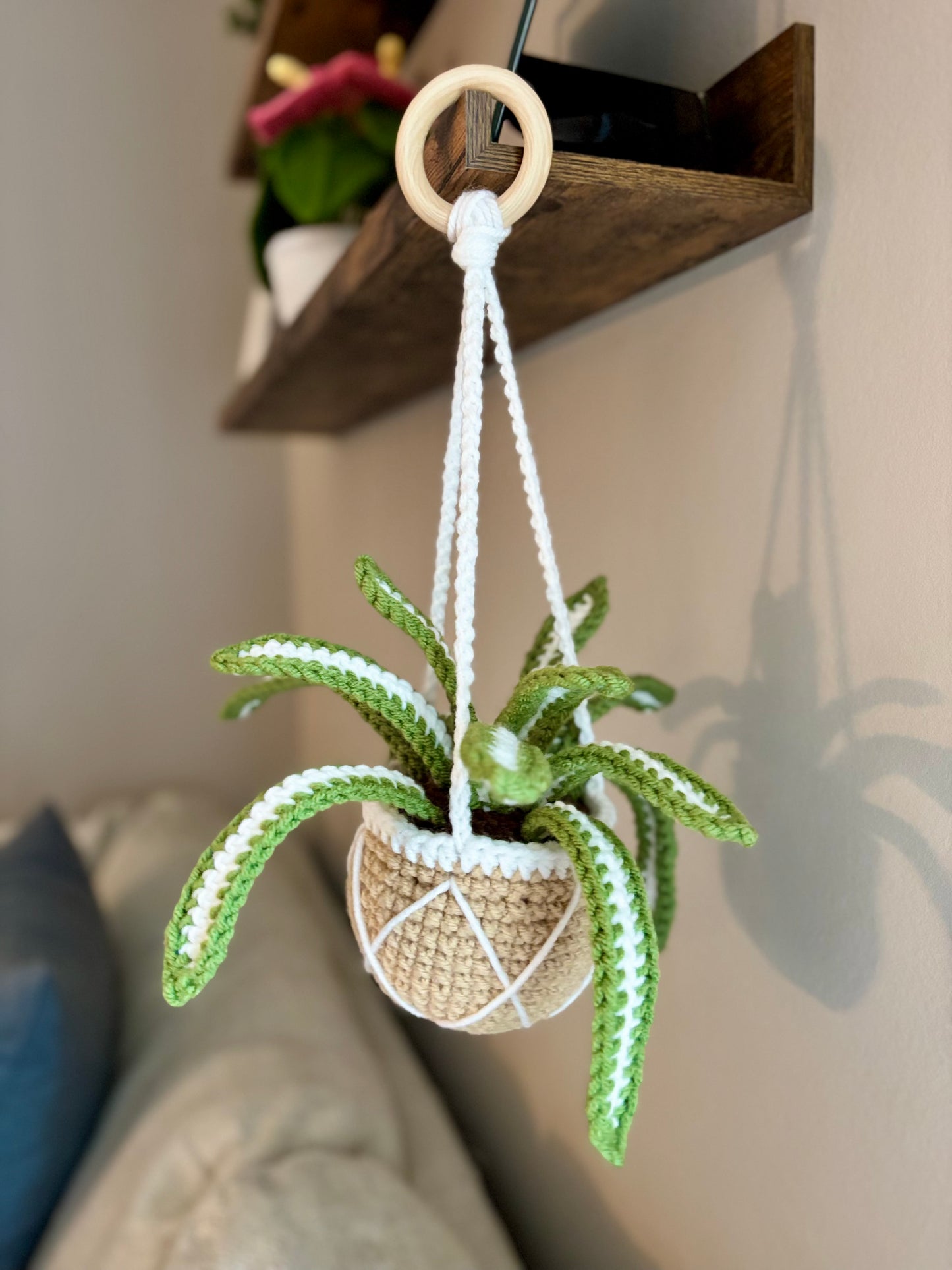 Hanging Plant Collection Crochet Pattern Bundle