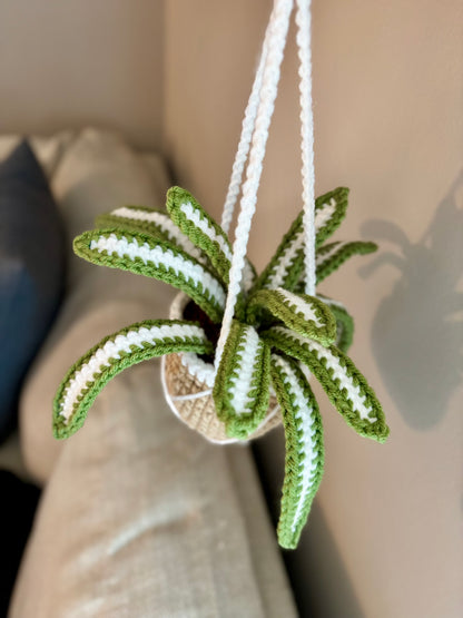 Hanging Plant Collection Crochet Pattern Bundle