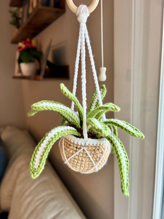 Spider Hanging Plant Crochet Pattern