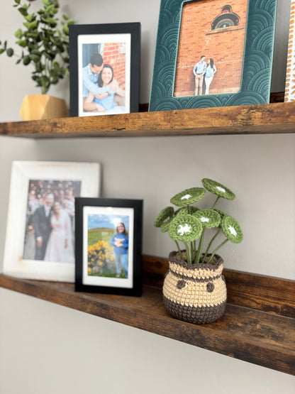 Chinese Money Plant Crochet Pattern