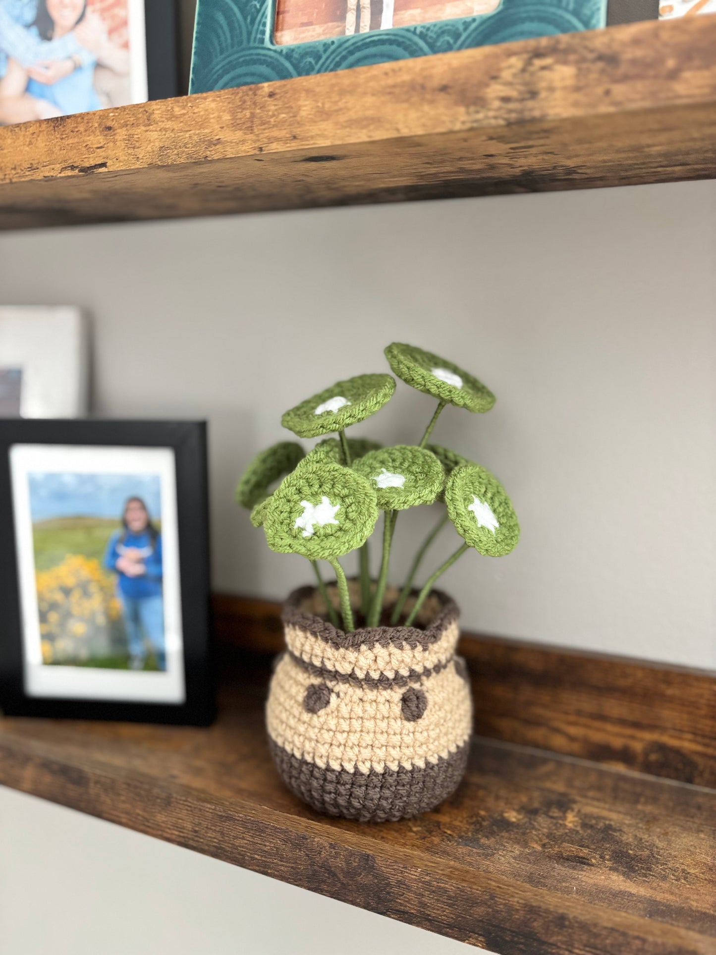 Chinese Money Plant Crochet Pattern