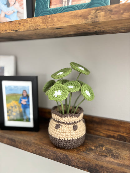 Chinese Money Plant Crochet Pattern