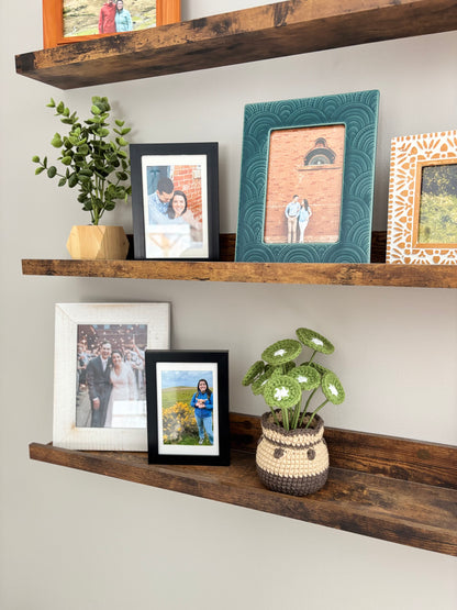 Chinese Money Plant Crochet Pattern