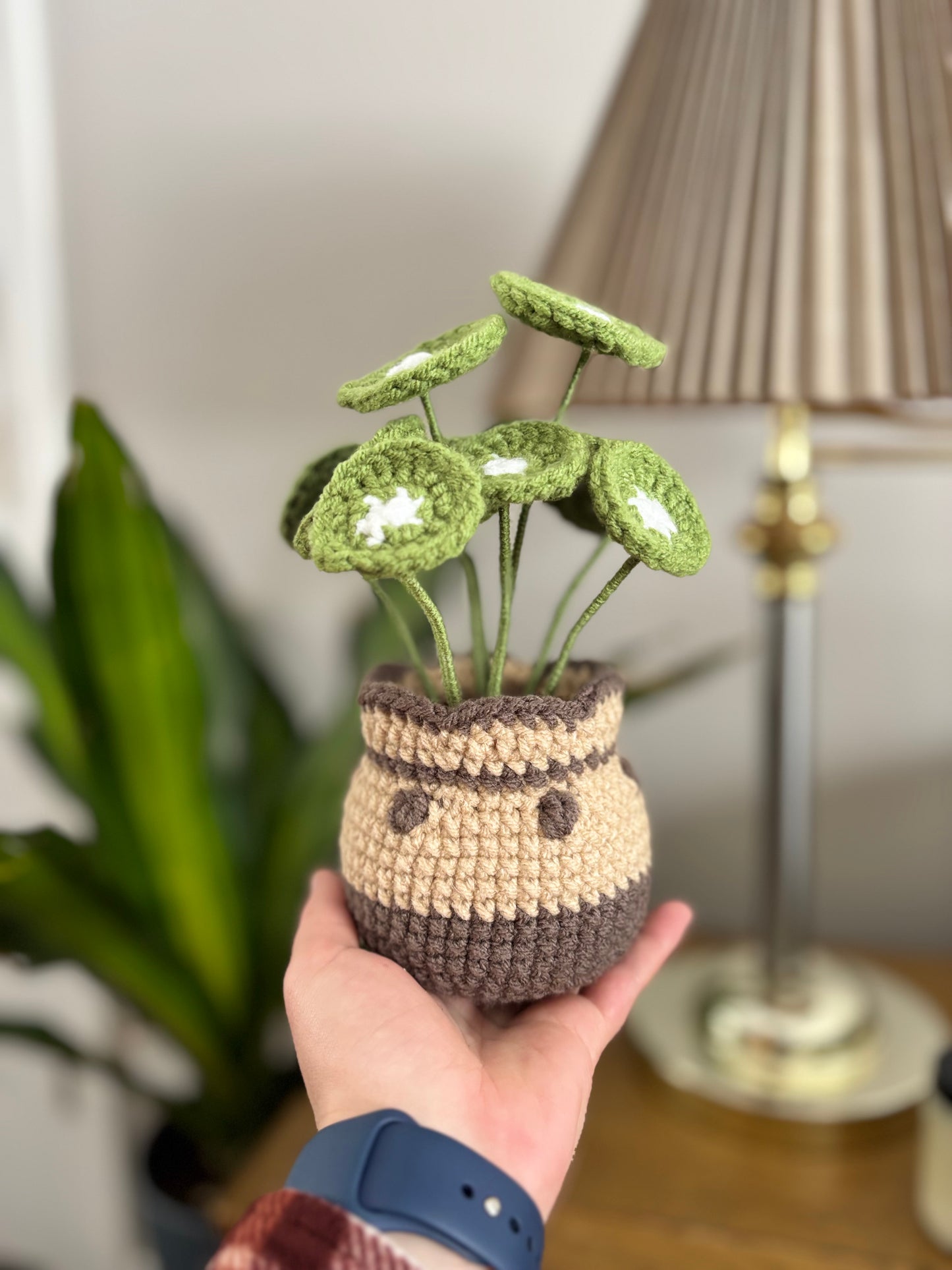Chinese Money Plant Crochet Pattern