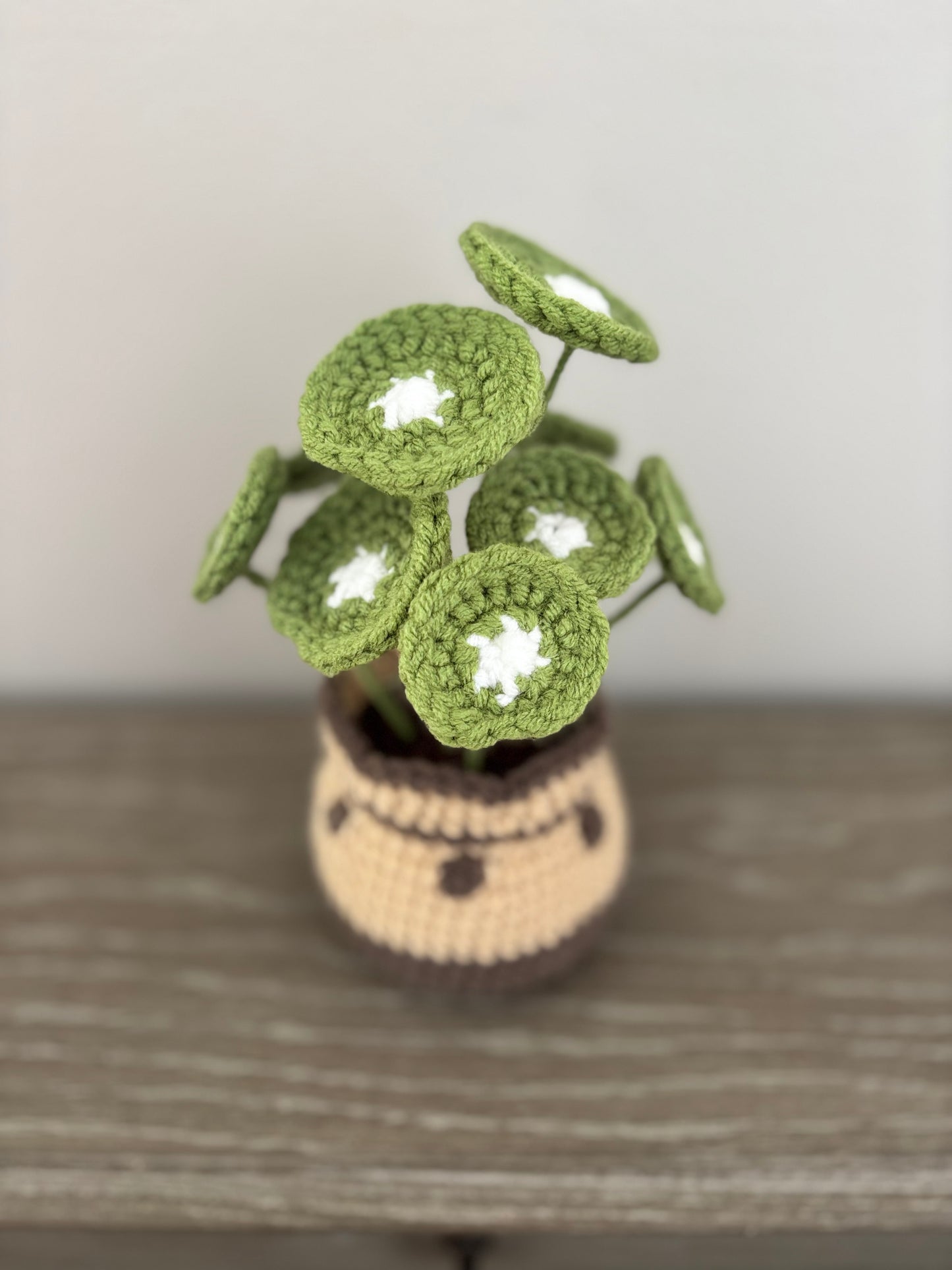 Chinese Money Plant Crochet Pattern