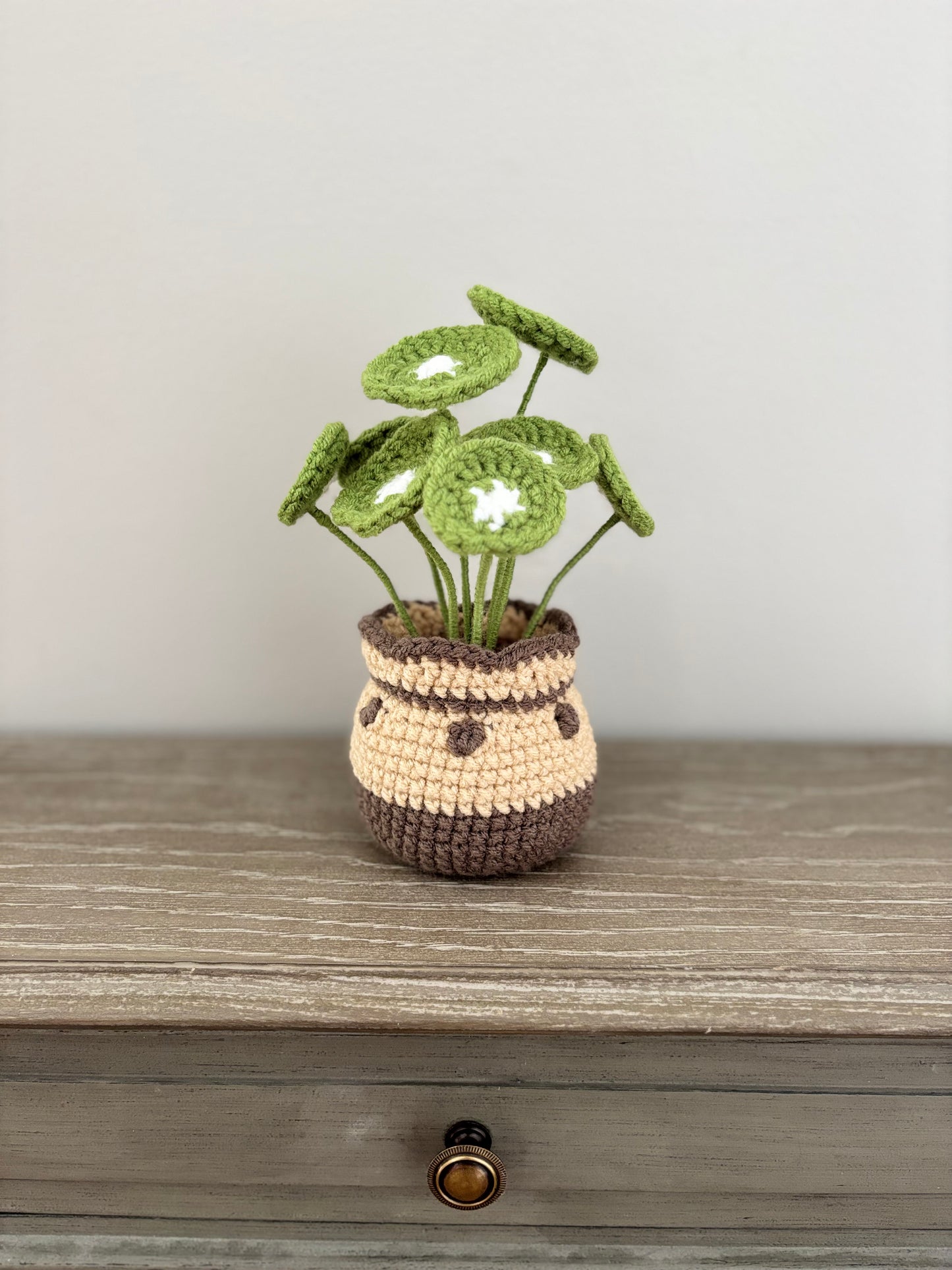 Chinese Money Plant Crochet Pattern