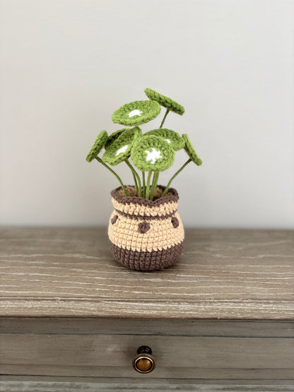 Chinese Money Plant Crochet Pattern