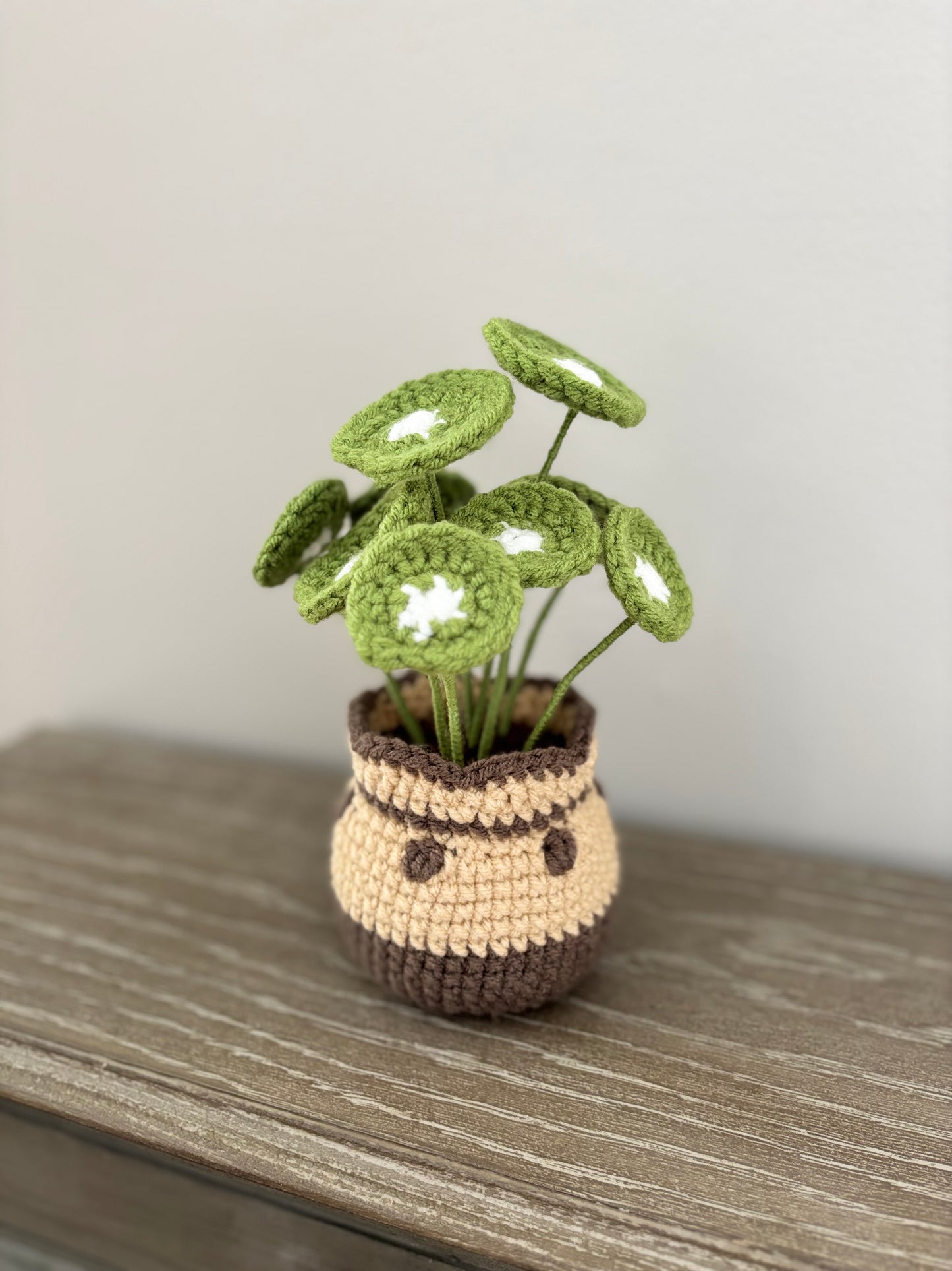 Chinese Money Plant Crochet Pattern