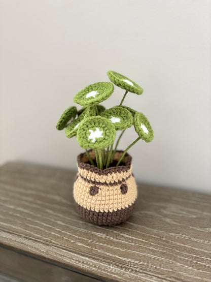 Chinese Money Plant Crochet Pattern