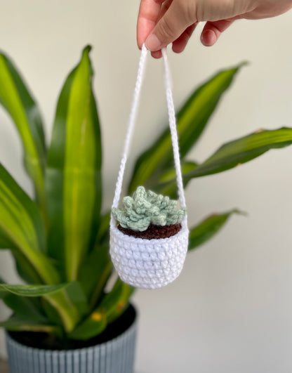 hanging succulent plants for car Car Hanging Plants *MADE TO ORDER – Squibble's Crochet Corner