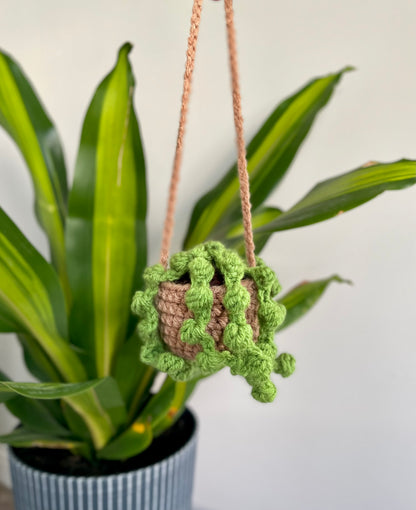 little hanging plant for car Car Hanging Plants *MADE TO ORDER – Squibble's Crochet Corner