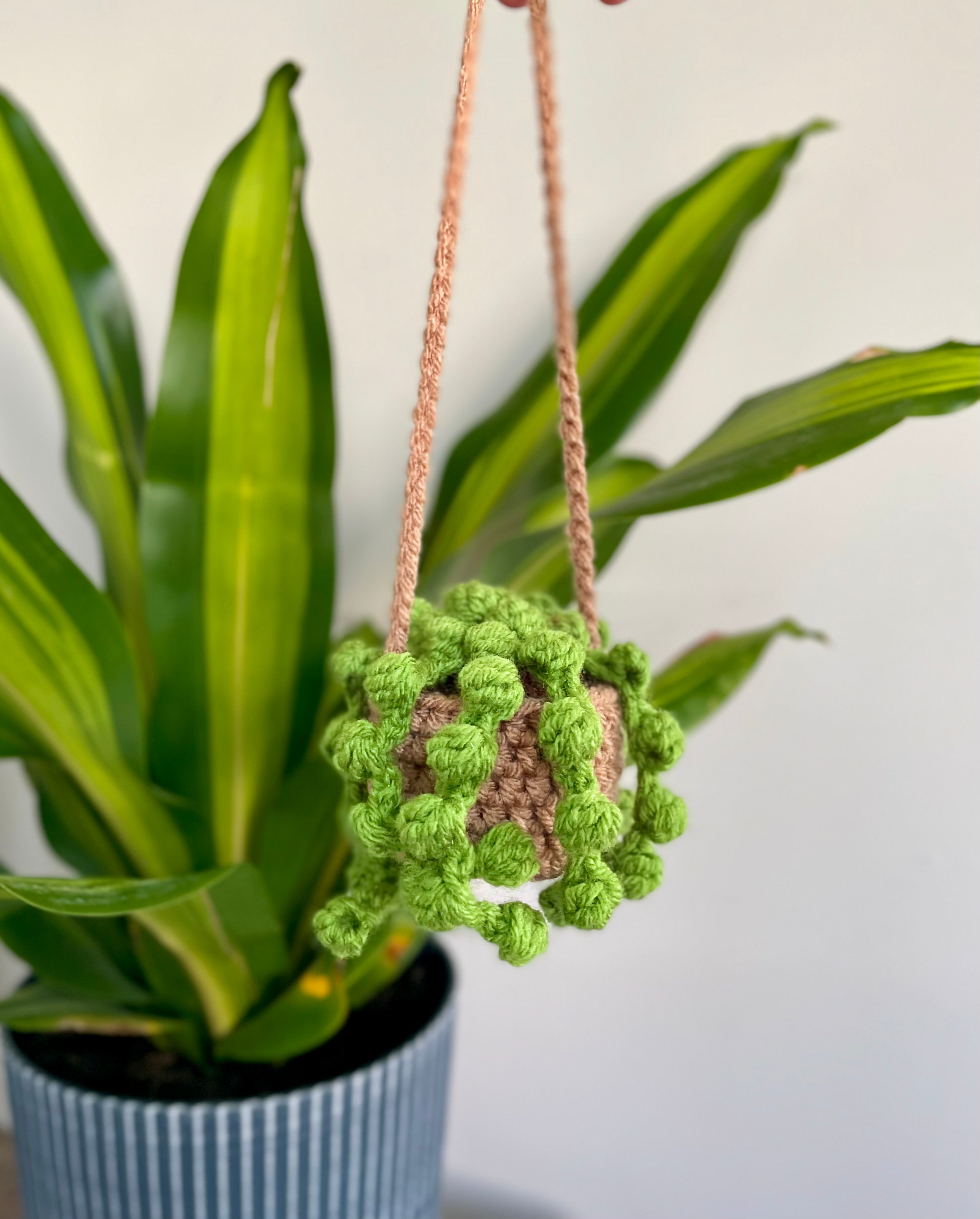 Squibble Car Hanging Plant Collection Crochet Pattern – Squibble's Crochet Corner