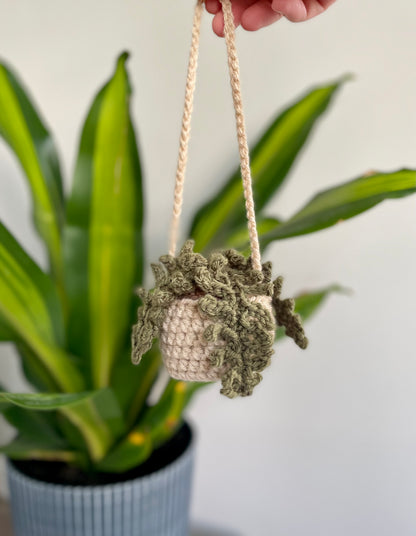 mini hanging plant for car Car Hanging Plants *MADE TO ORDER – Squibble's Crochet Corner