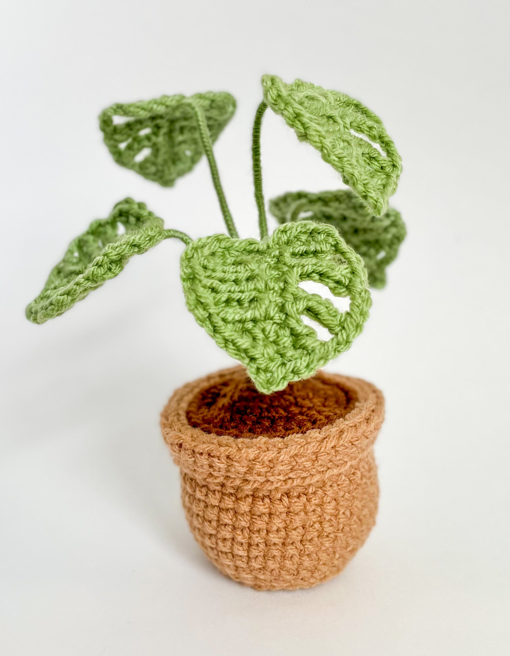 monstera crochet plant Mini Monstera Plant Crochet Pattern