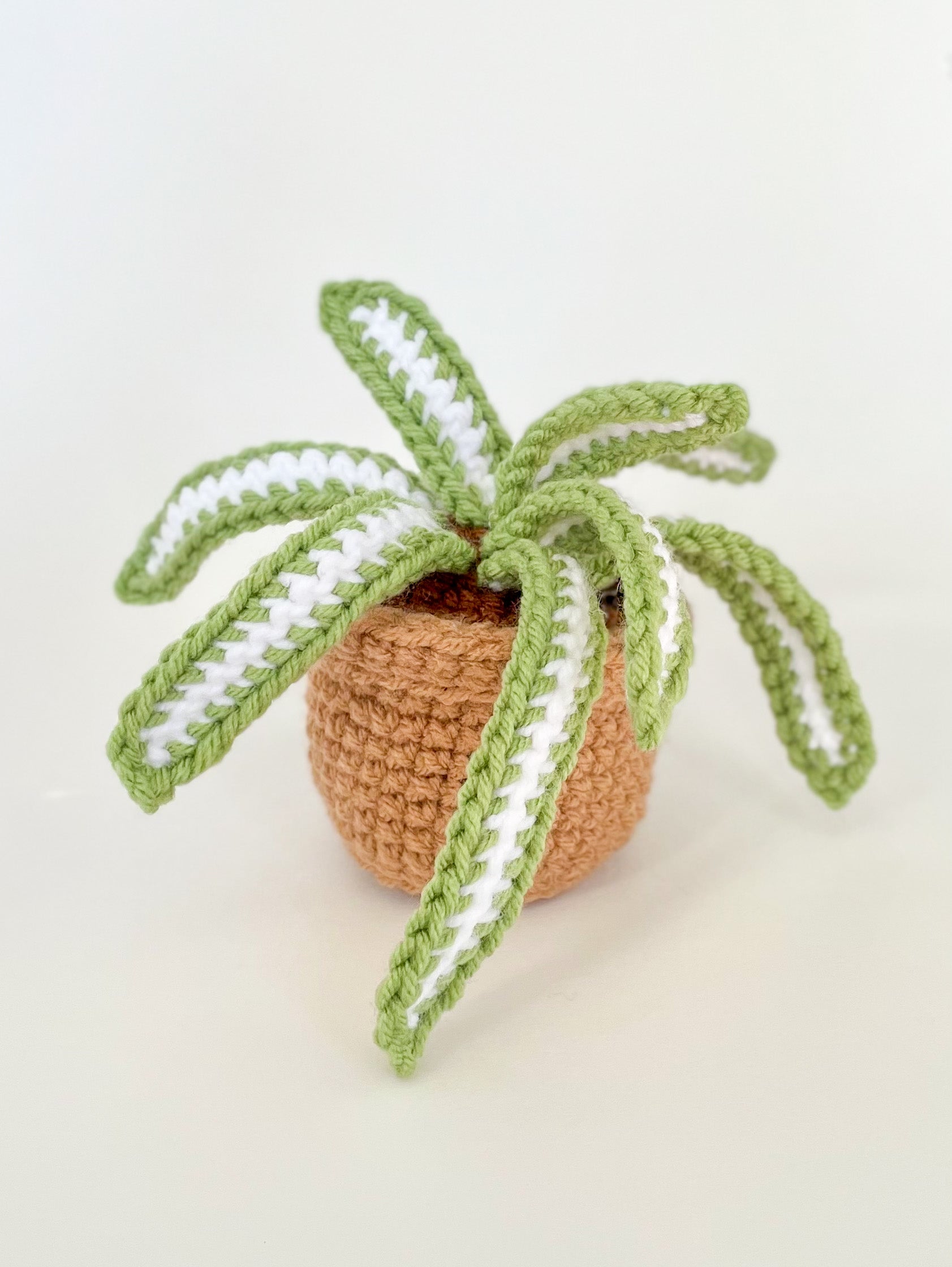 crochet spider plant Mini Spider Plant Crochet Pattern – Squibble's Crochet Corner