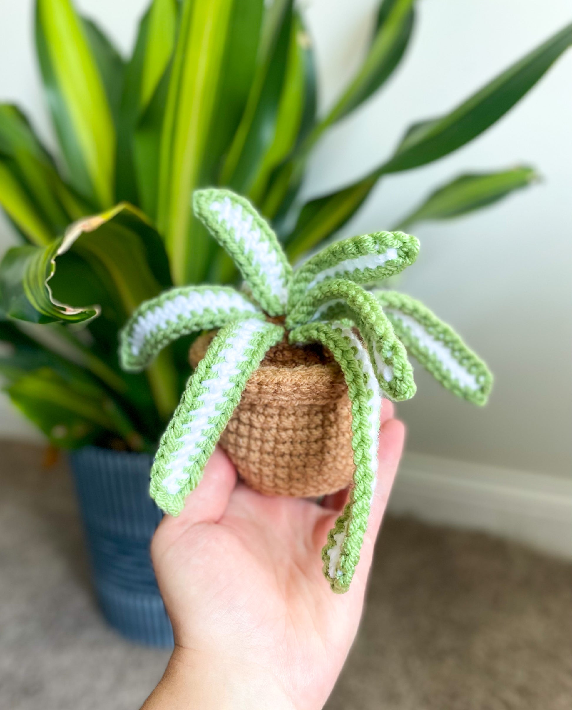 mini spider plants Mini Spider Plant Crochet Pattern
