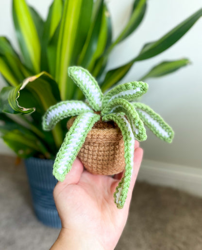 crochet spider plant pattern free Mini Spider Plant Crochet Pattern – Squibble's Crochet Corner