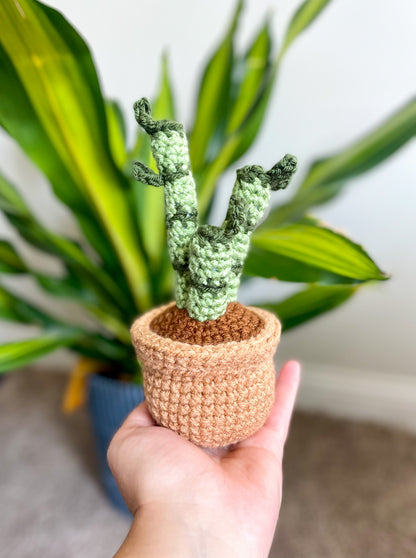 crocheted house plants Mini House Plant Collection Crochet Pattern – Squibble's Crochet Corner